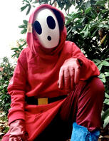 shy guy costume